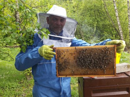 2016-2 eigene Bienen - eigener Honig # Honigwabe