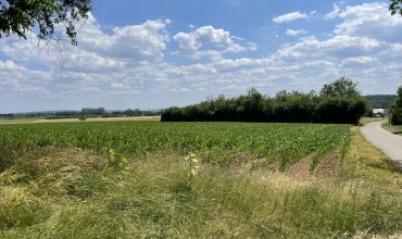 Landschaft, Sommer